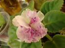 DSC03064