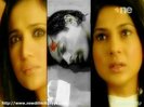 38676825_QSHQAYETA