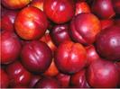 nectarine dulci
