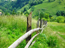 DSCN2678