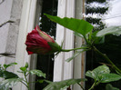 DSC06384