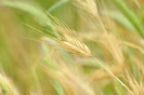 _DSC0119