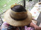 DSCN6603