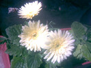 08062011(009)