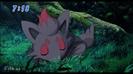 Zorua doarme:X