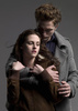Rob-Kristen-New-Pic-robert-pattinson-and-kristen-stewart-3614113-357-500