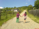 Poze Noii (14)