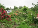 IMG_0575