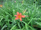IMG_0576