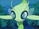 Celebi baiat  lvl 1234567890 stie toate miscarile tip psihic si iarba