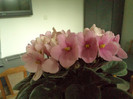 DSC00288