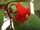 Copy (2) of DSC00282