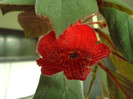 Copy (2) of DSC00283