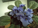 Copy of DSC00280