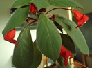Copy of DSC00281