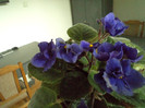 Copy of DSC00286