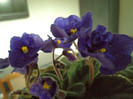 Copy of DSC00287