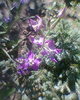 Photo0011