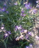 Photo0012