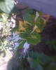 Photo0017