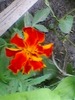 SP_A1757