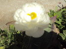 DSC08427