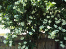DSC08435