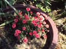 DSC08436