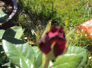 DSC08440