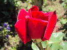 DSC08443