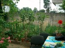 SANY6940