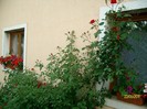 SANY6968