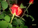 SANY7120