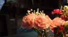 DSC00782