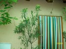 SANY7451