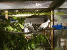 IMG00051