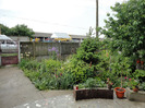 DSC02236