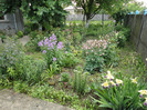 DSC02238