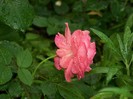 100_8072