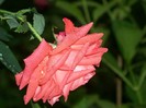 100_8079