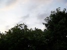 100_8162