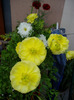 P1010048