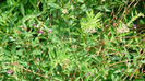 P1230842