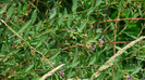 P1230850