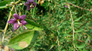 P1230864
