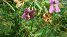 P1230867