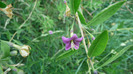 P1230870