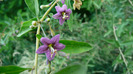 P1230871