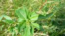 P1230880