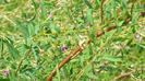 P1230889